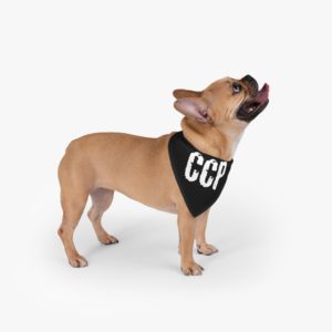Cross Country Paranormal Pet Bandana